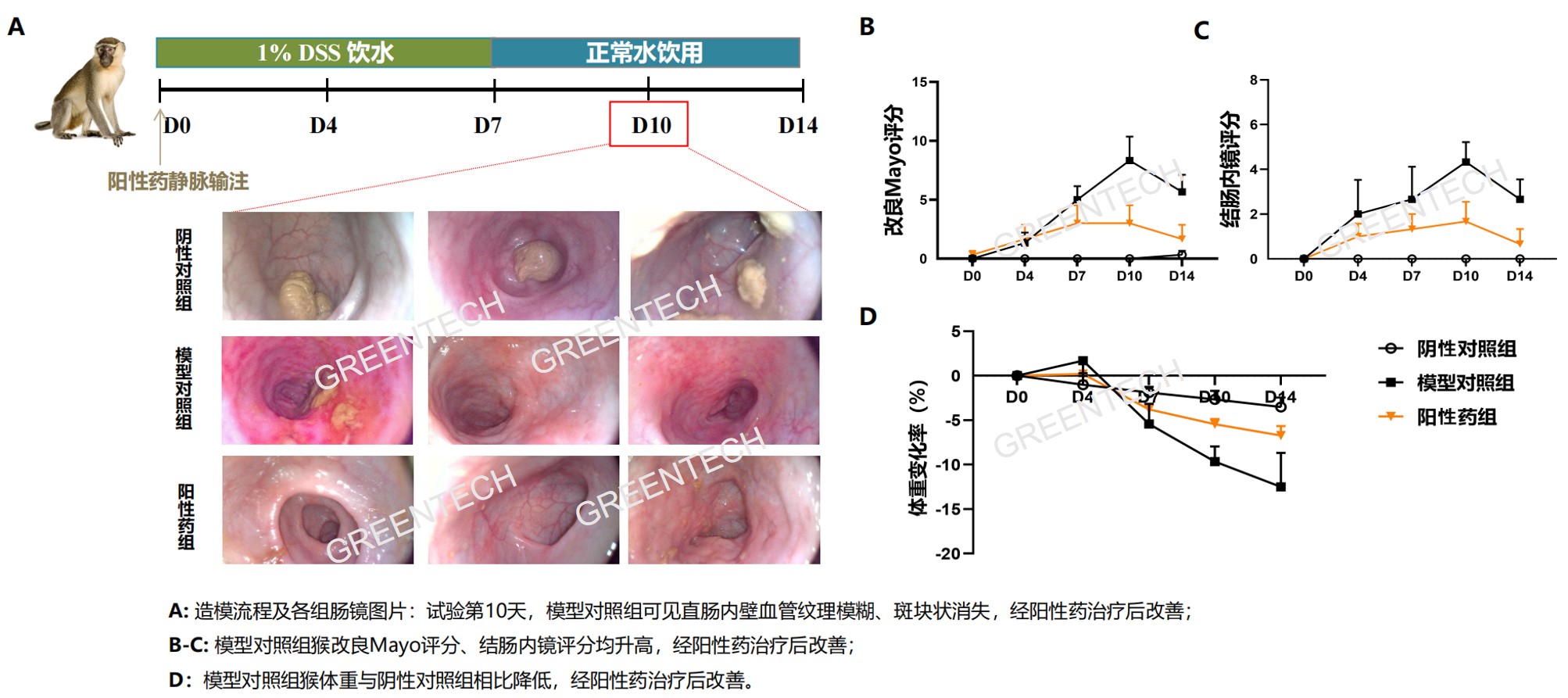 DSS诱导猴急性结肠炎模型.jpg DSS诱导猴急性结肠炎模型.jpg